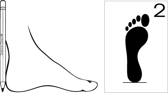 measure-foot-step-2.gif